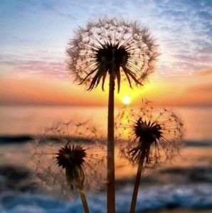 Meet your Posher, Sheila